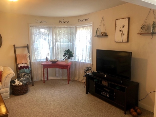 Partial Living Rm Photo - 17 E Main St