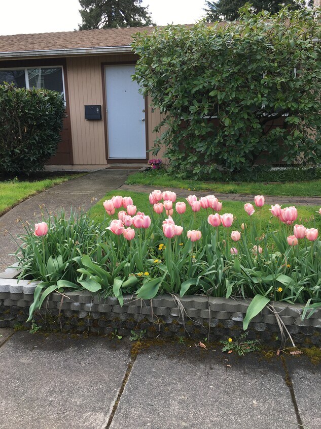 Cute well maintained privately owned - 2017 Washington St