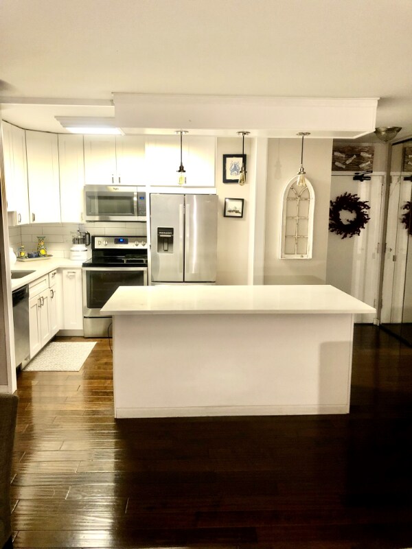 1460 N Sandburg Terrace Unit 2005, Chicago, IL 60610 Condo for Rent