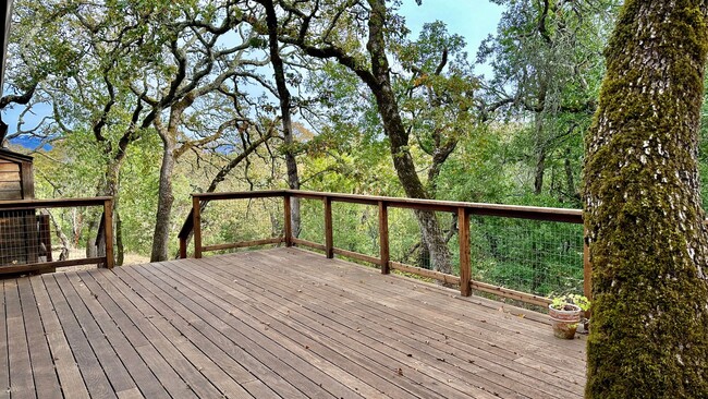 Foto del edificio - Beautiful 3bd/3ba Home With Vineyard Views!