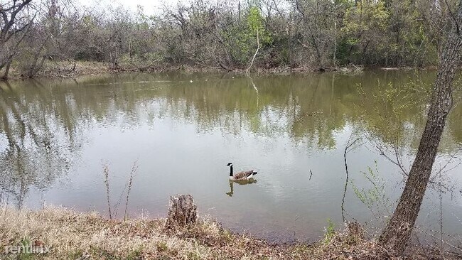 Foto del edificio - 7262 Waterloo Rd