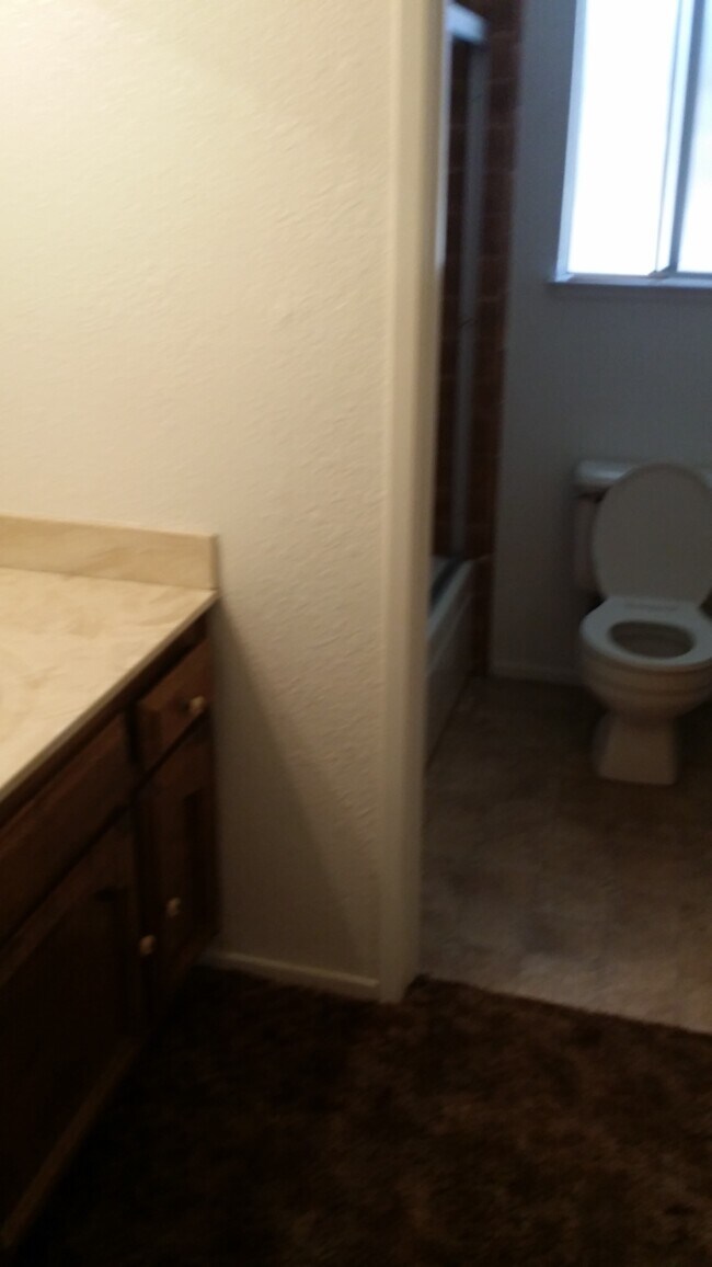 Foto del edificio - 310 Saint Michael Ct