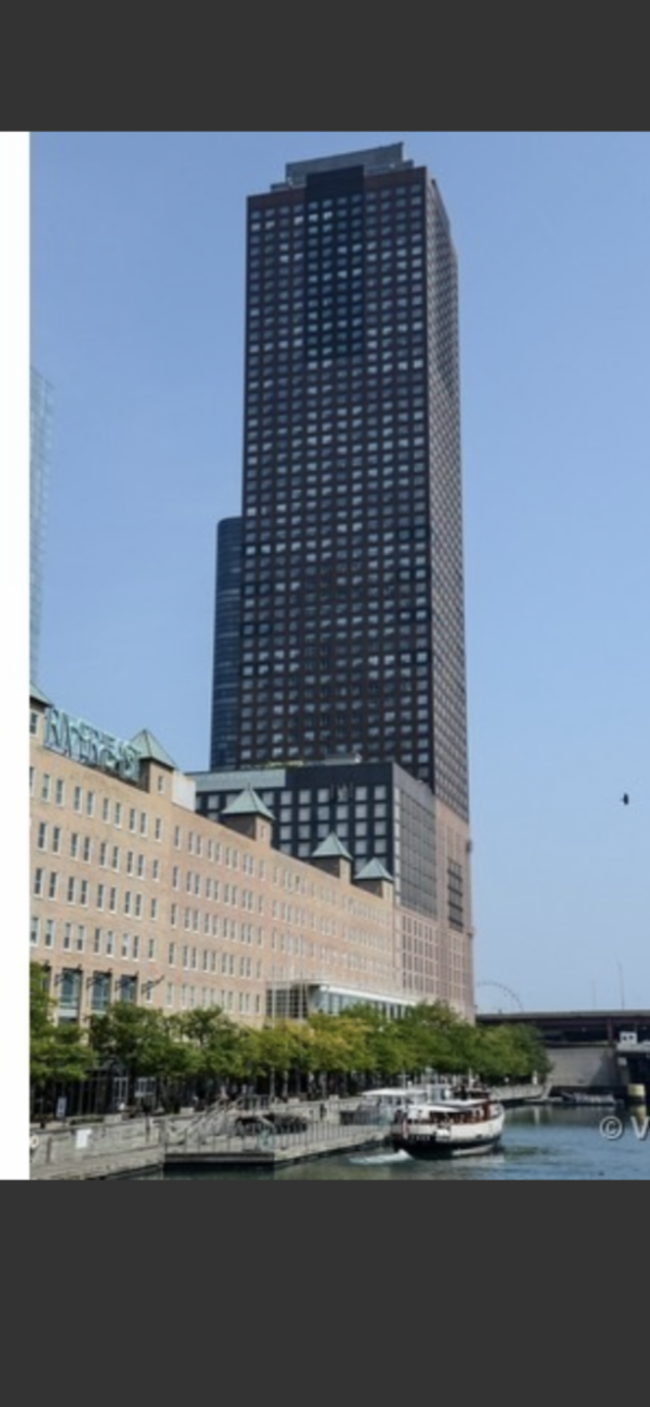 Foto del edificio - 474 N Lake Shore Dr