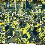 Aerial Photo - 2010 Land O Lakes Blvd