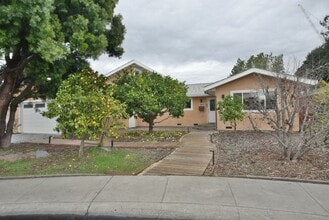 Building Photo - 886 Bayleaf Ct