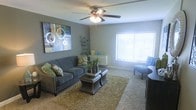This single-floor space offers a thoughtfully designed interior that blends comfort and modern style. The living area serves as the focal point of the home, featuring soft carpeted flooring topped with a plush area rug that adds warmth and texture underfoot. The walls are finished in a calming neutral gray tone, creating a clean and contemporary backdrop throughout. A ceiling fan with integrated lighting provides both functional airflow and ambient illumination, while a large window fitted with horizontal blinds allows for adjustable natural light to fill the room. The living area is furnished with a charcoal-toned sofa accented by decorative patterned throw pillows, complemented by a pair of matching ottomans that double as a coffee table. Greenery in the form of potted plants adds a refreshing natural element to the space. A bold abstract wall canvas serves as a striking artistic focal point above the seating area, lending personality and visual interest. Additional accent seating and decorative framed pieces round out the room, contributing to a cohesive and inviting atmosphere. Overall, this space presents a comfortable and well-curated interior that is both functional and aesthetically pleasing.