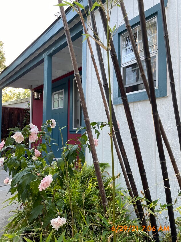 Private laundry - 522 S 13th St