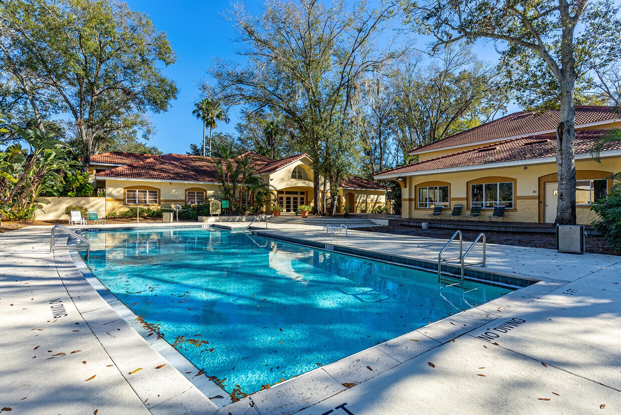 5612 Pinnacle Heights Cir Unit 203, Tampa, FL 33624 Condo for Rent in