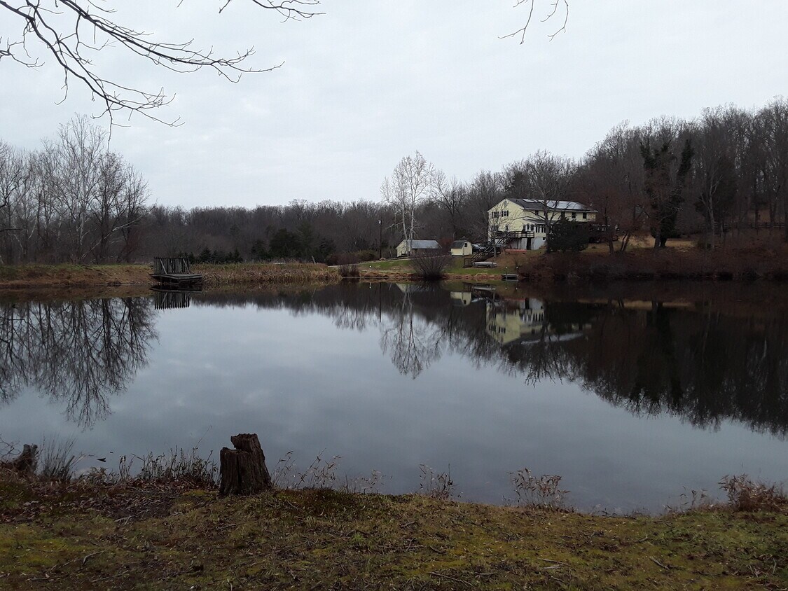 67 Willow Lake Ln Unit A2, Bluemont, VA 20135 Apartments in Bluemont