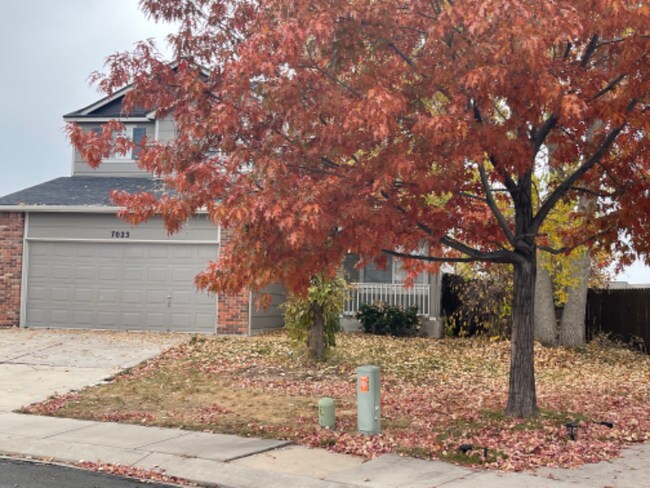 Building Photo - 7023 Bonnie Brae Ln