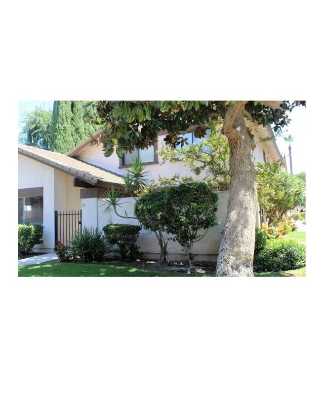 Courtyard Oasis - 3333 El Encanto Ct
