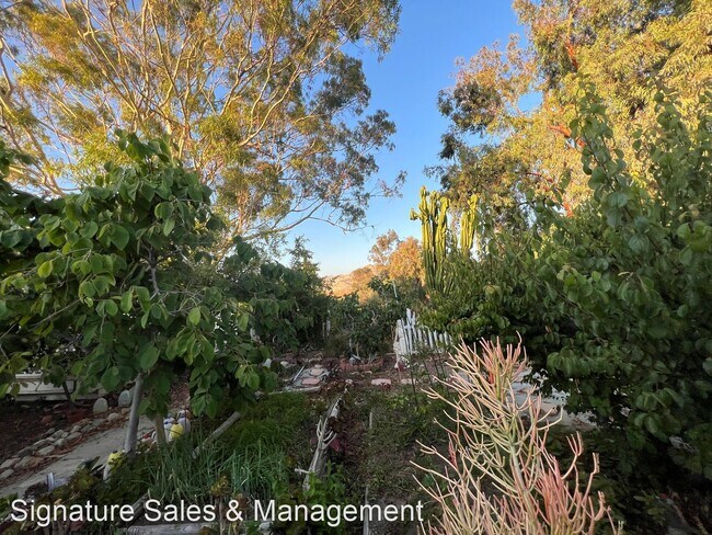 Building Photo - 4 br, 2 bath House - 1761 Bel Air