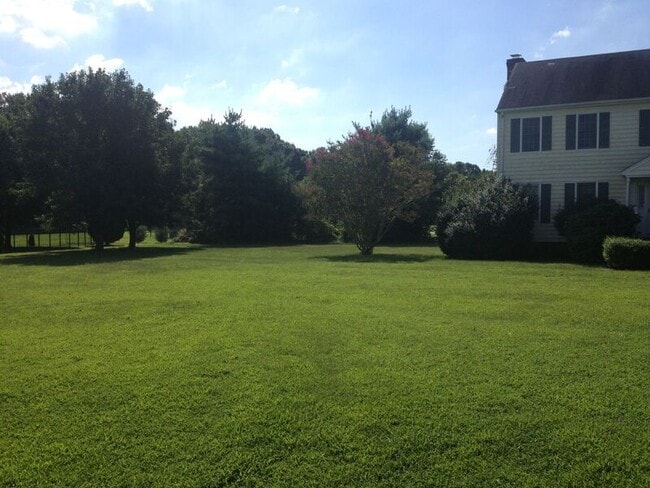 Building Photo - 12519 Mt Blanco Ct