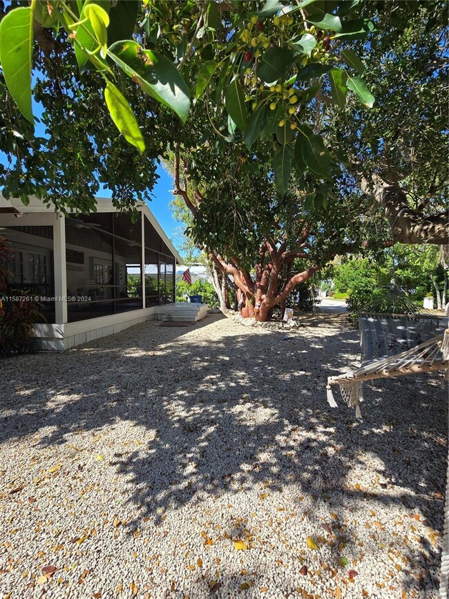 Foto del edificio - 101 Gumbo Limbo Rd