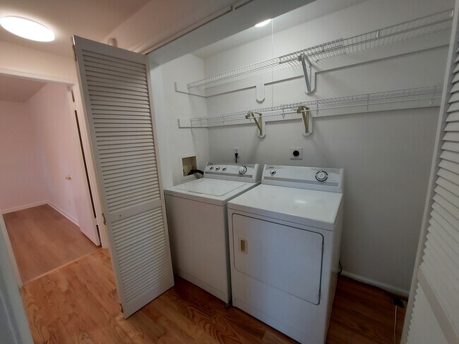 Washer and Dryer in the hall - 34 Walnut Rd