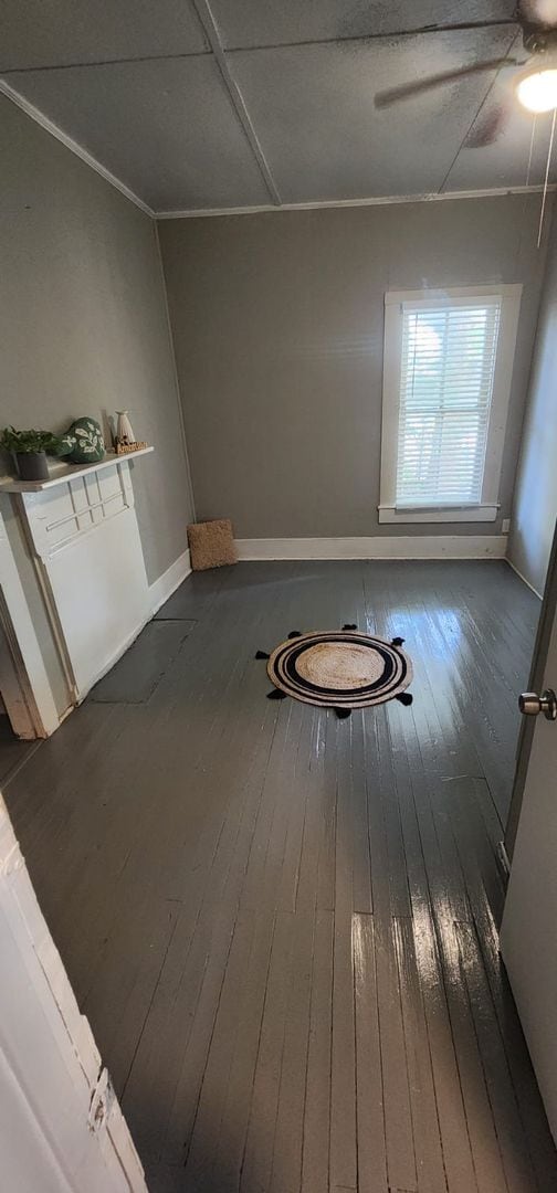 Building Photo - Walk to UF Campus! 4 bed/ 2 Bath walk/bike...
