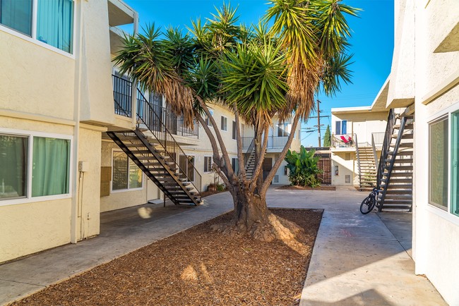 Building Photo - Courtyard Terrace