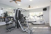 This fitness center offers a practical and well-organized space for residents or members looking to maintain an active lifestyle. The room is outfitted with a multi-station cable and weight machine — ideal for a wide range of strength training exercises — alongside multiple treadmills and an elliptical trainer positioned near the windows for a pleasant cardio experience. Large windows along one wall allow natural light to fill the space, creating an open and energizing atmosphere. Full-length mirrors line the walls, enhancing the sense of space while allowing users to monitor their form during workouts. Durable, patterned carpet flooring covers the room, providing both comfort and grip underfoot. A ceiling fan overhead helps maintain airflow and comfort during intense sessions, complemented by recessed and flush-mount ceiling lighting for consistent illumination throughout the day and evening. The layout is thoughtfully arranged to allow users to move freely between equipment without congestion, making this fitness center a functional and inviting environment for everyday exercise routines.