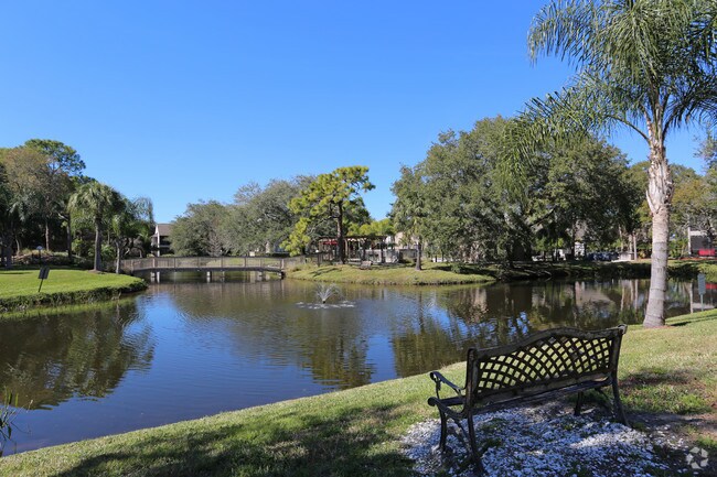 Baywater Apartments Tampa Fl Apartments Com