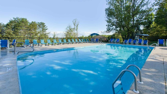 Pool - Jellystone Park of Western New York