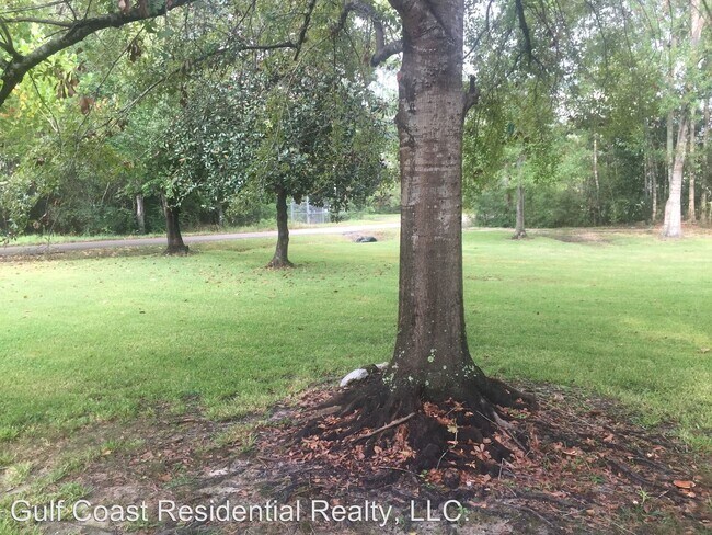 Building Photo - 3 br, 1.5 bath House - 2301 Callie Rd.