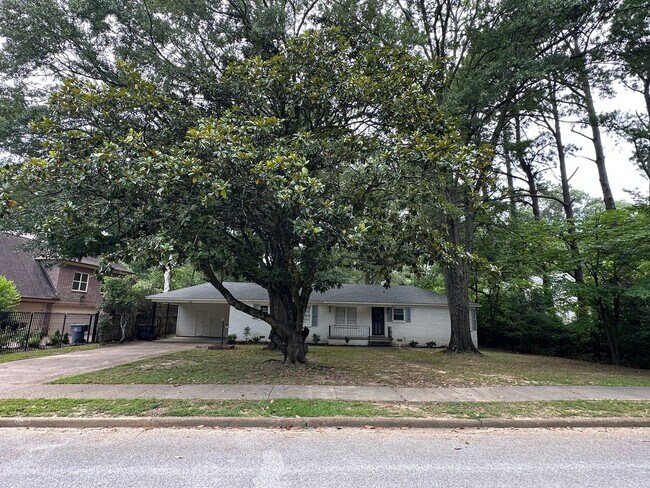 Building Photo - Charming East Memphis home, 3BR/2ba, 1600 ...