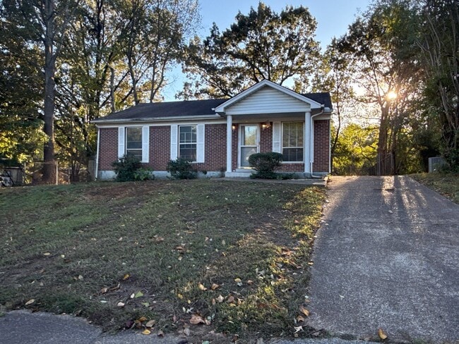 Building Photo - 237 Greenfield Dr