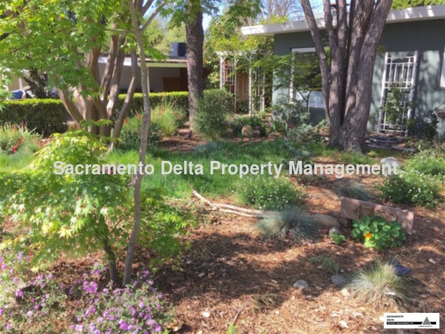 Building Photo - Beautiful South Land Park Home!