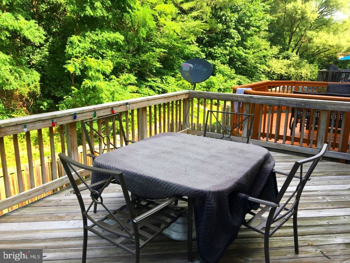 Primary Photo - 403 Park Cove Dr