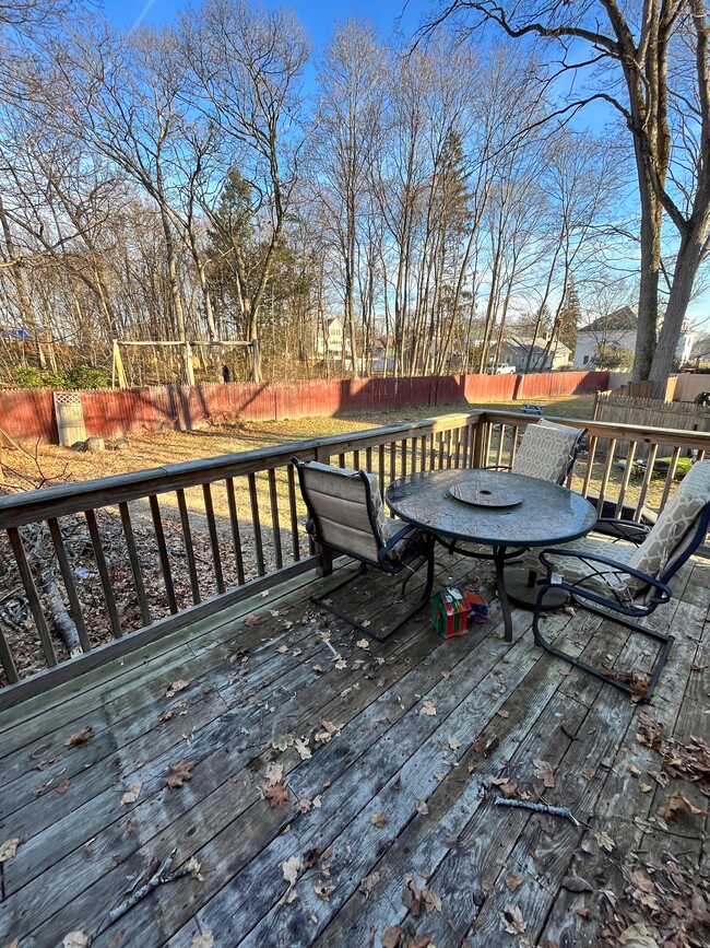 large back yard with deck - 14 Charles St