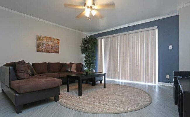 Photo - 1 bedroom in Houston TX 77057 Apartment