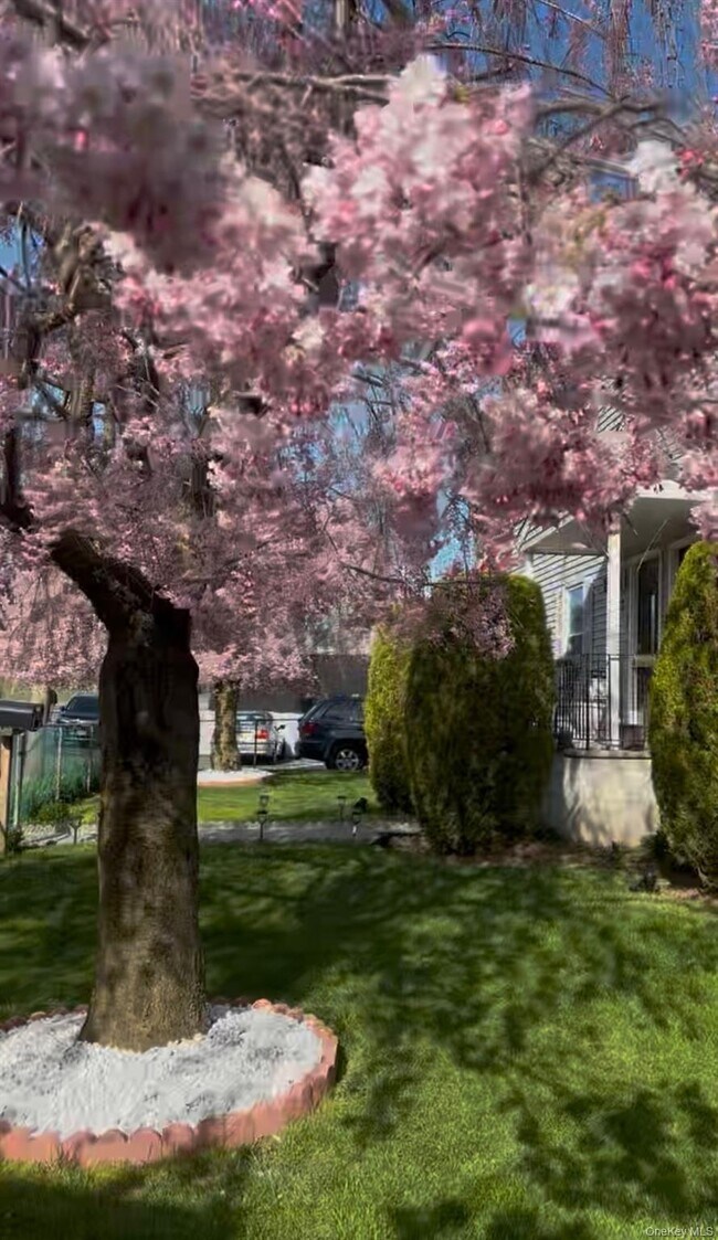 Foto del edificio - 7 White Plains Ave