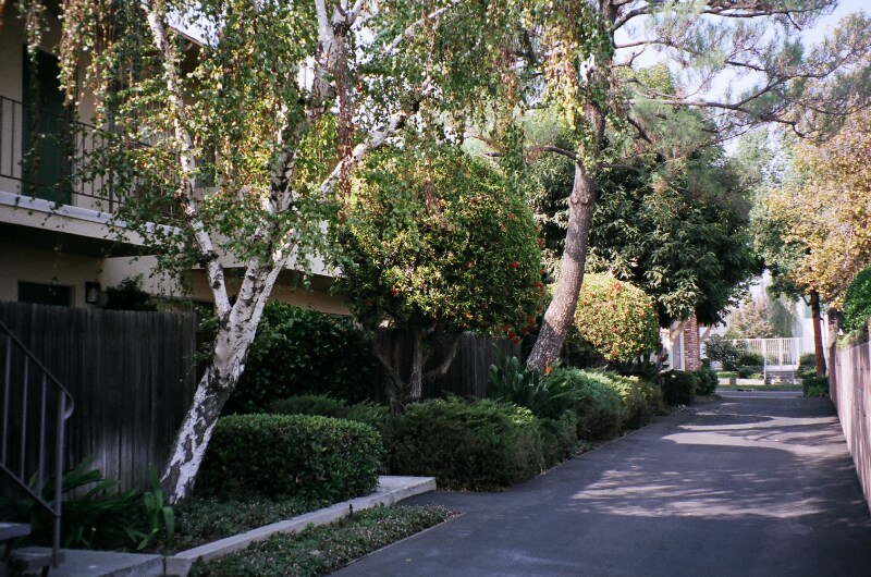 Primary Photo - 808 Santa Barbara St