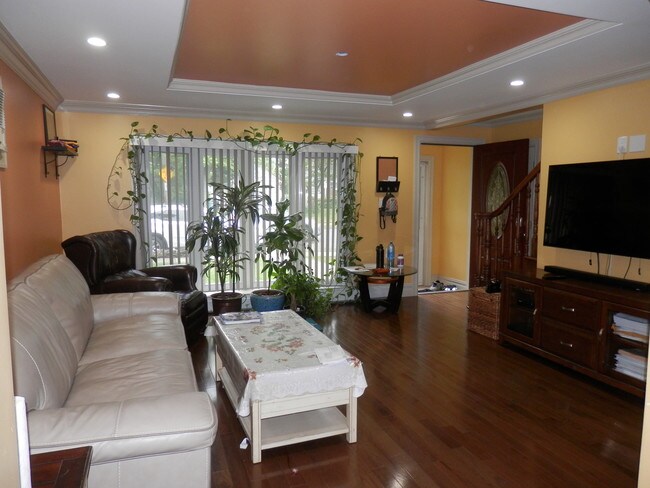 Living Room - 58 Stevenson Rd