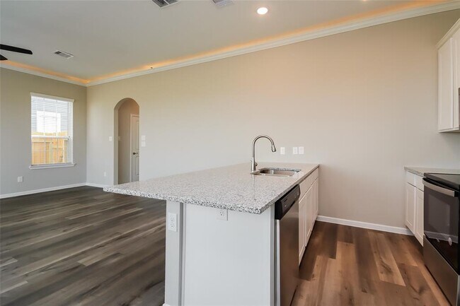 Building Photo - 1338 Lantana Thicket Wy