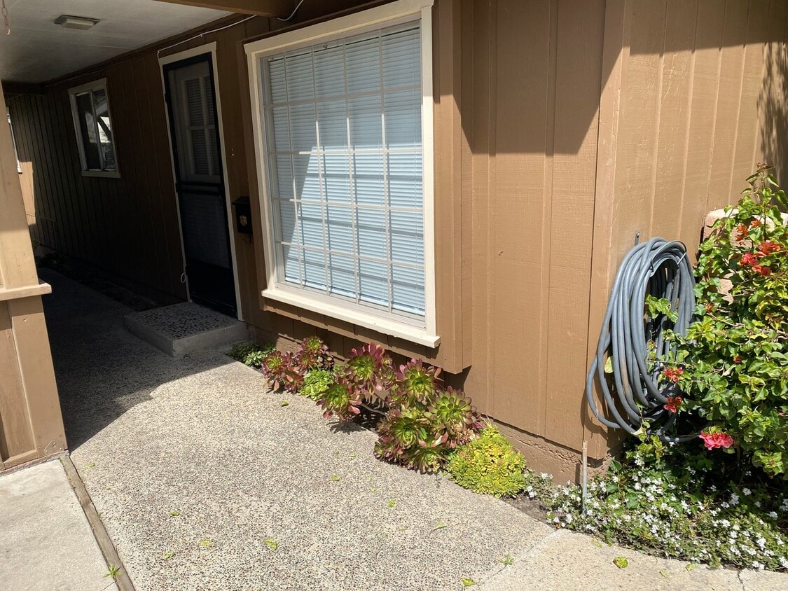Primary Photo - 1205 Lela Ln