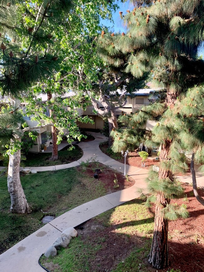 Courtyard - Garnet Victoria Apartments