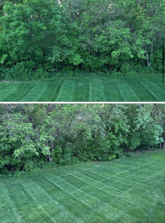 Tree lined backyard - 4418 S 178th St