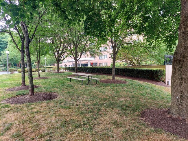 Foto del edificio - Spacious 1br/1bth Condo minutes from Downtown Silver Spring!