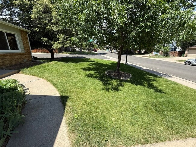 Building Photo - Updated Energy Efficient 3-Bedroom Home in...