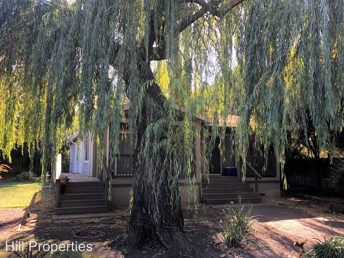 Primary Photo - 3 br, 2 bath House - 235 W 11th Ave