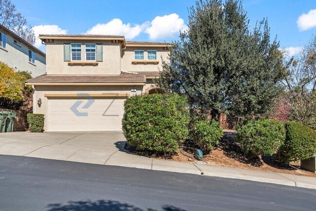 Building Photo - 205 Blum View Dr