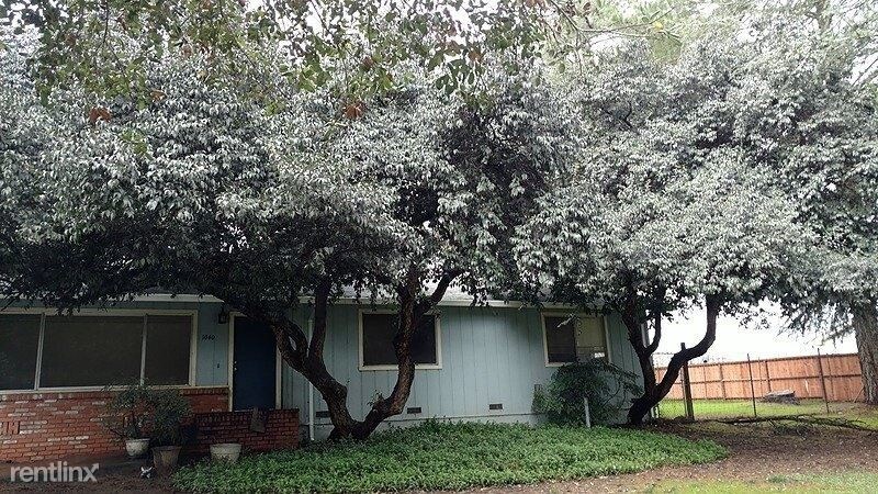 Building Photo - 4 br, 2 bath House - 1040 Petra Drive
