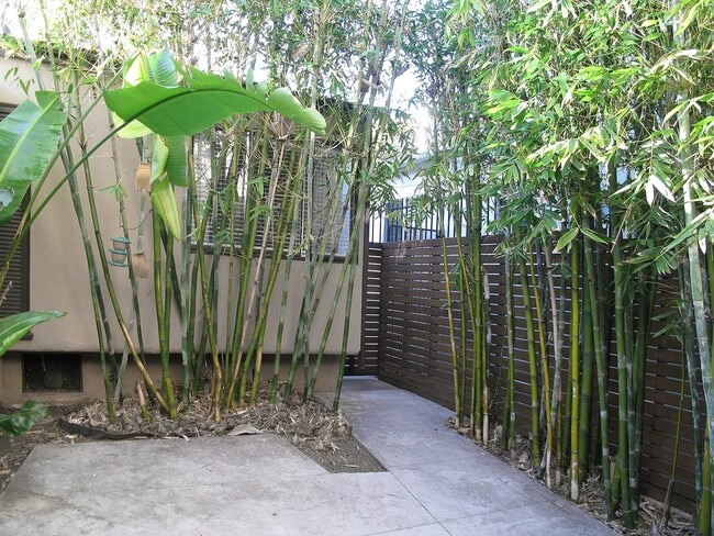 Foto del edificio - 1646 Preuss Rd