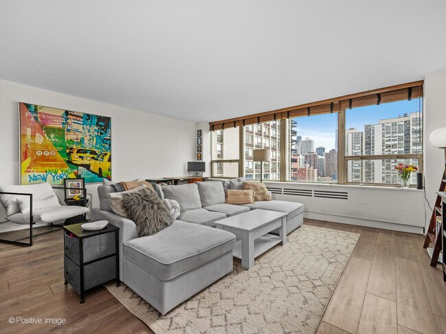Foto del edificio - 1460 N Sandburg Terrace