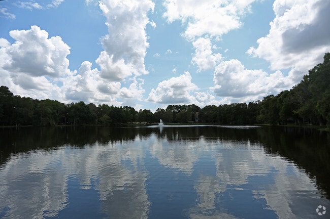 Building Photo - Grande Oasis at Carrollwood