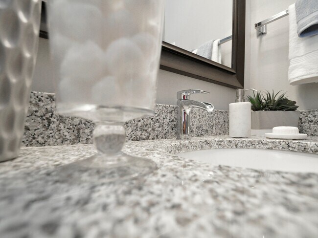 Granite Counters throughout - Icon Lakewood