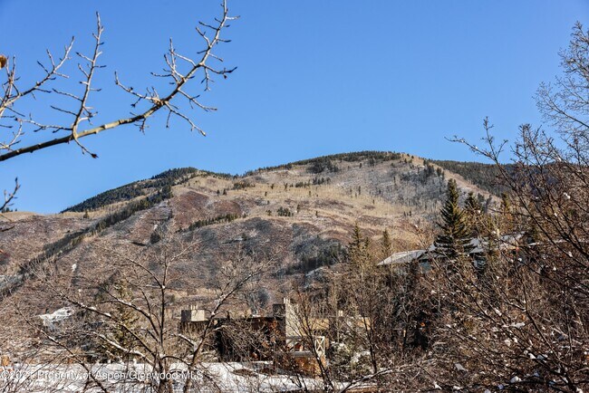 Building Photo - Rental in the Heart of Aspen Core