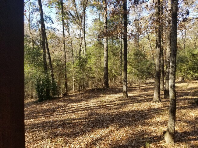 Foto del edificio - 160 S Lake Dr