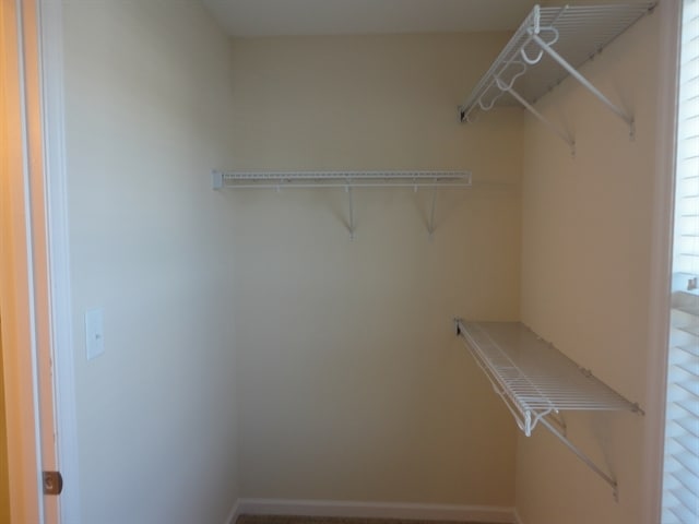 Building Photo - 2825 Tulip Poplar Cir